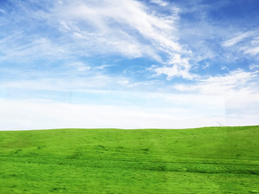 The bigger picture of social&nbsp;media.